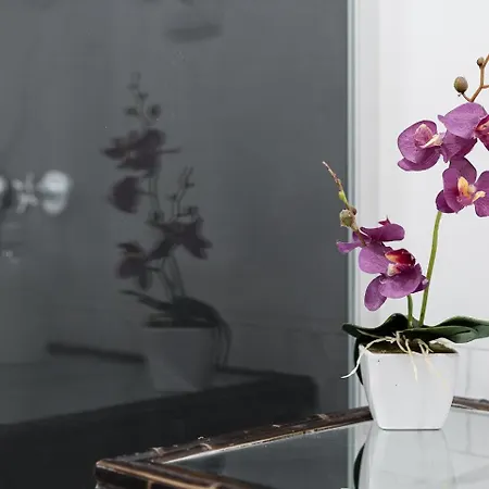 Apartment Guestready - Gold Leaf Porto